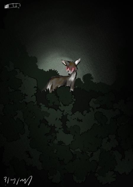 Unknown Footage