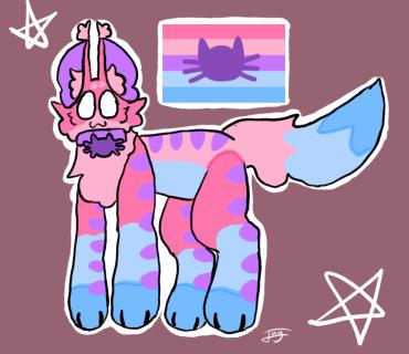 Catgender cat💜🩷🩵💙