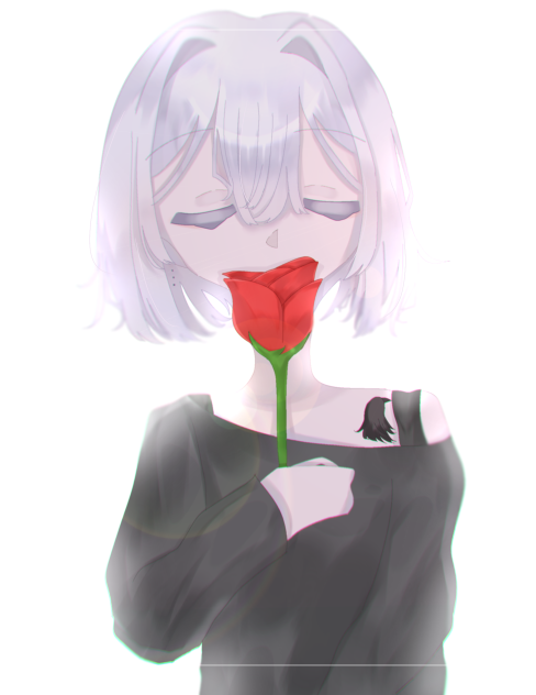 薔薇🌹