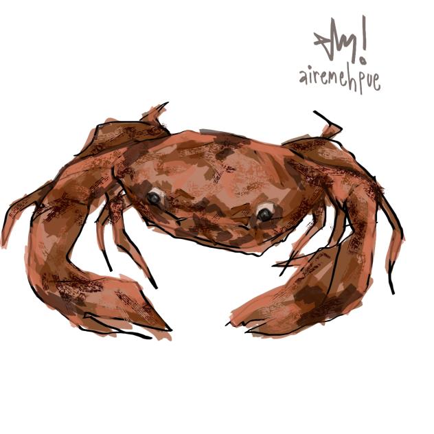 crab