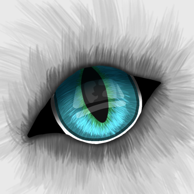 animal eye
