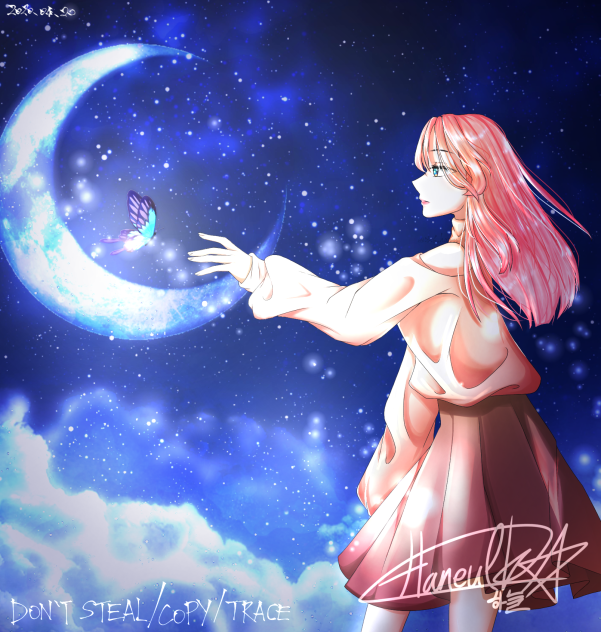 ✨shining butterfly in the night🦋