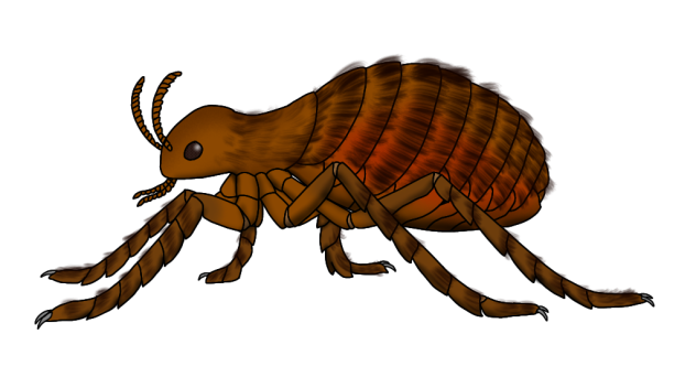 Tyrannopsylla beipiaoensis render