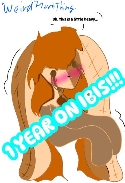 MY FIRST WHOLE YEAR ON IBIS!!!