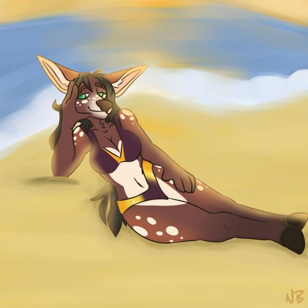 sunset beach commission