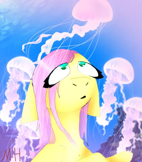 Jellyfish Mlp