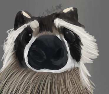 ^ Boop The Snoot ^