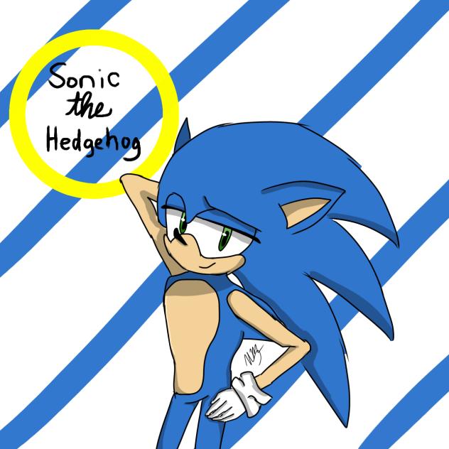 Rizzy the Hedgehog