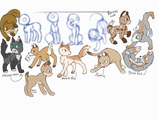 My theriotypes