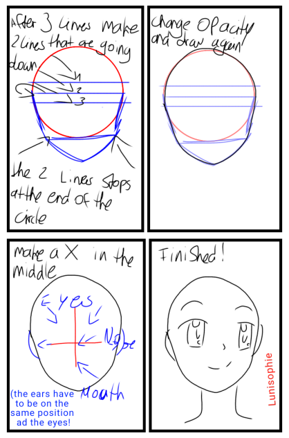 The head
