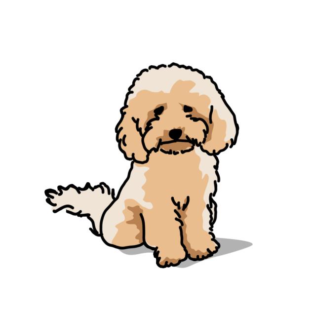 Cute dog - ibisPaint