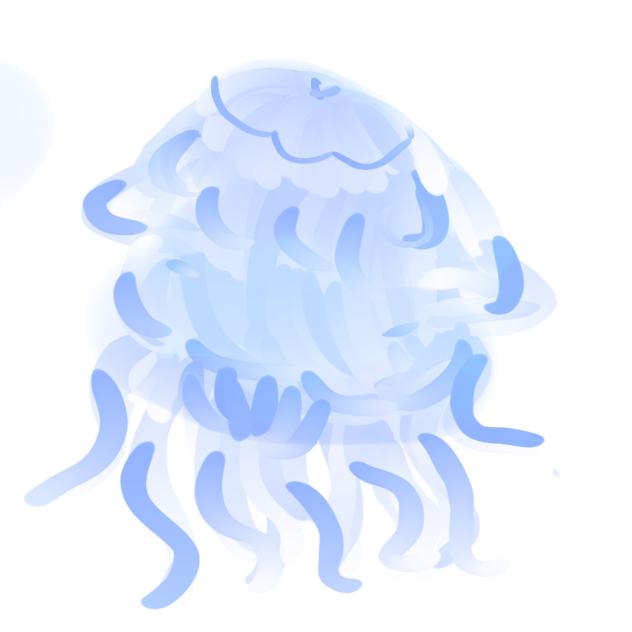jellyfish!!