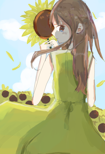 ひまわり