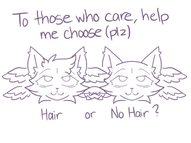 Hair or No Hair❓