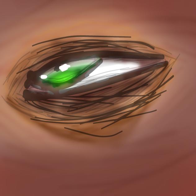 Eyes- Drawn in Class 0v0