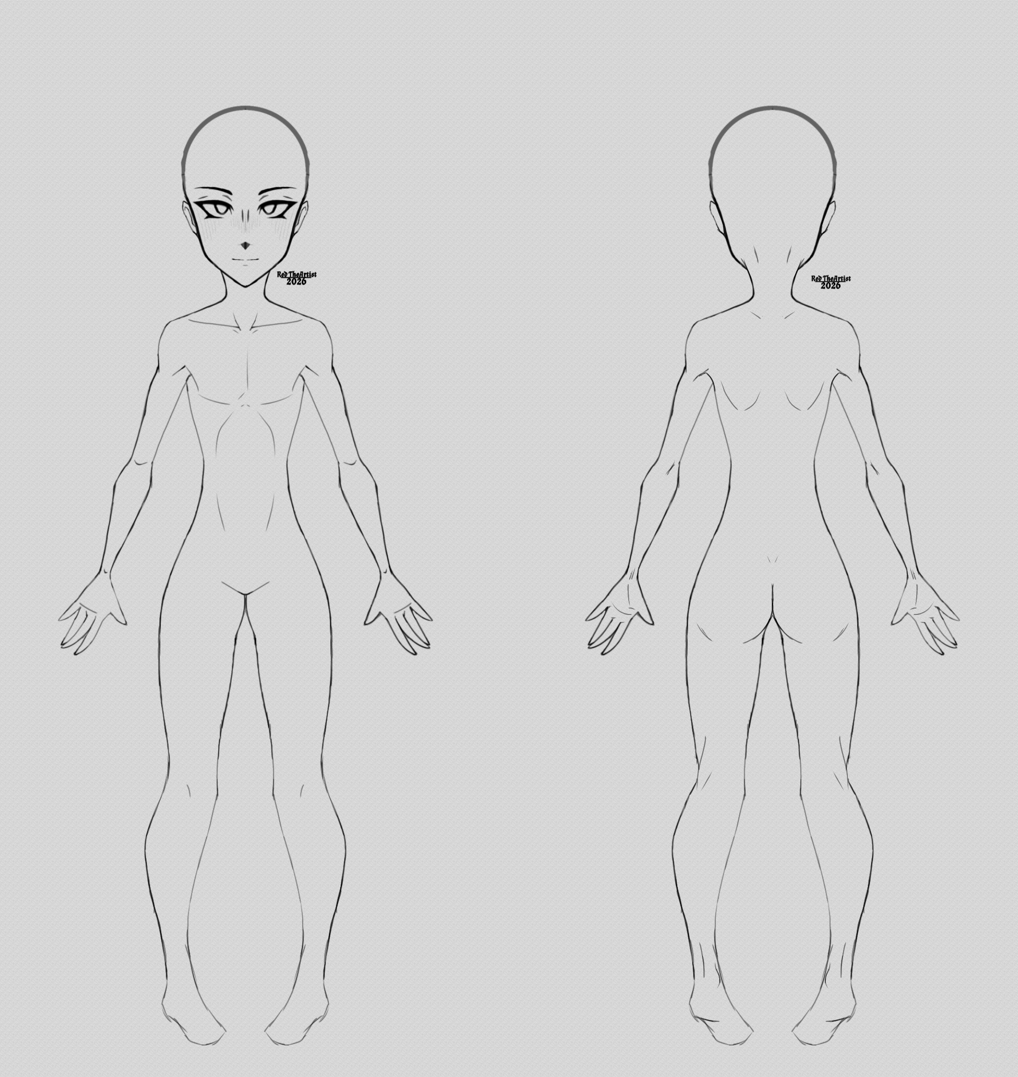 Blank front and back ref - ibisPaint