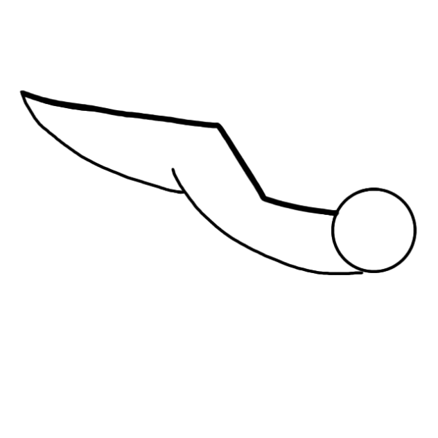 First Bird flight Animation