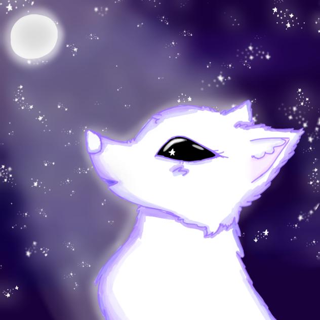 Stargazing