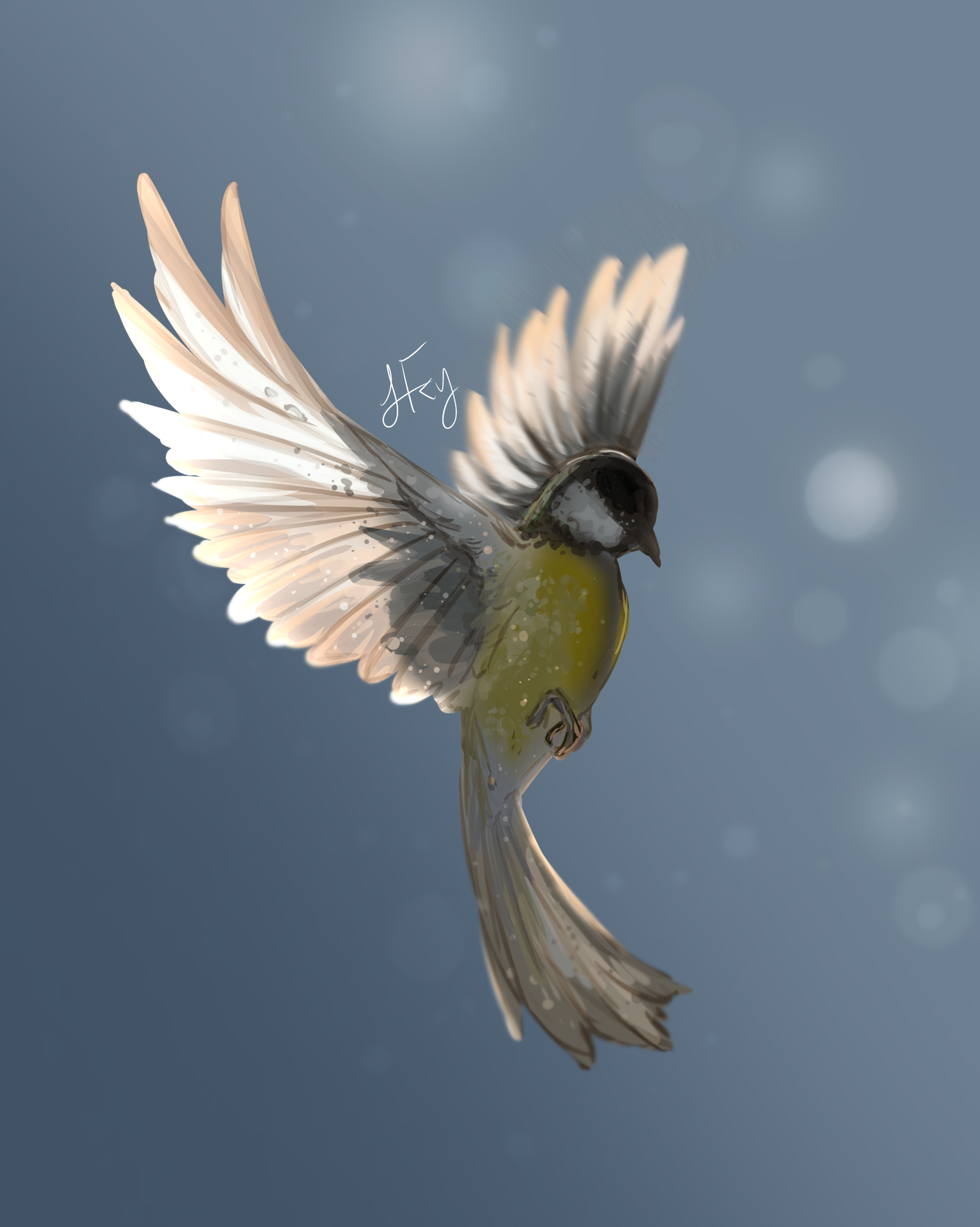 bird - ibisPaint