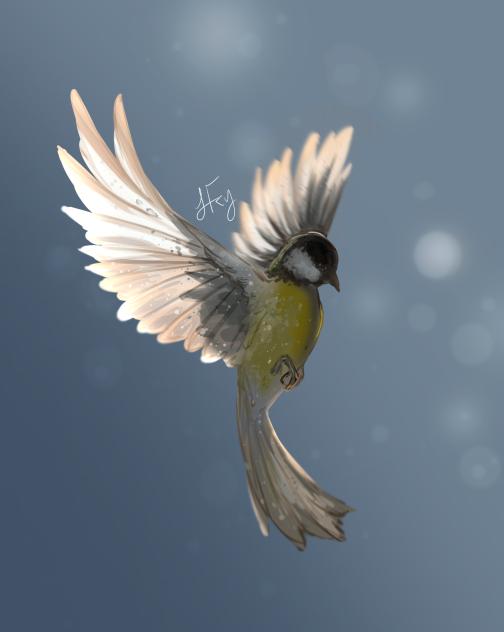 bird - ibisPaint