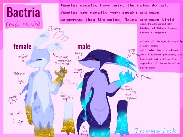 SPECIES REFERENCE SHEET ☆ - ibisPaint