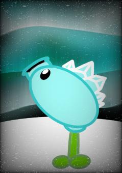 Snow pea watching the northern lights