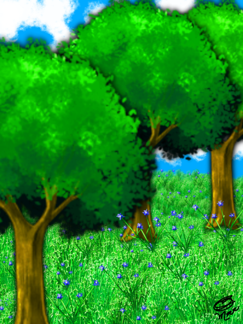 Paisagem