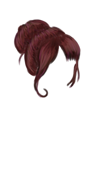 Hair in Bun - ibisPaint