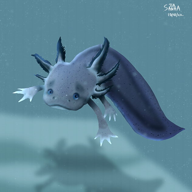 Axolotl
