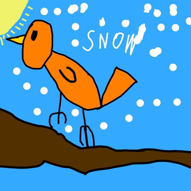 Snow bird 🐦