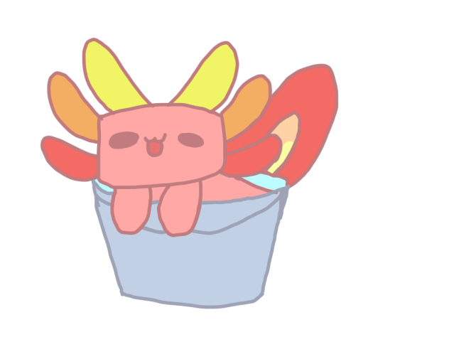 Axolotl