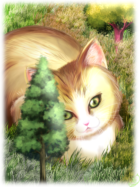 大きな猫