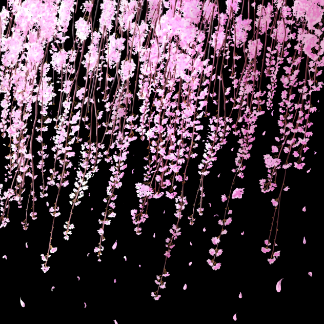 しだれ桜
