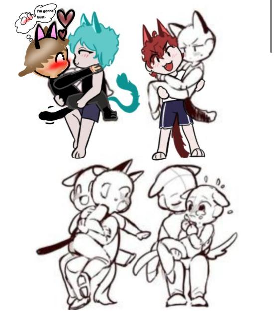 Cat collab X3