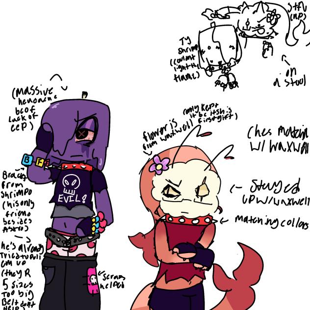 waxwell and shrimpo