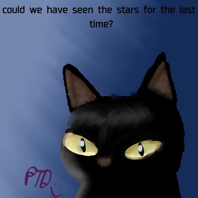 first realism ig 🐈‍⬛🐈‍⬛🐈‍⬛