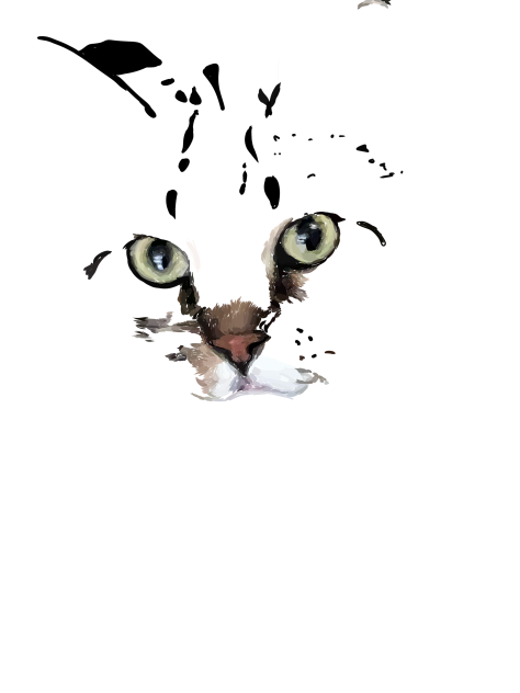 WORK IN PROGRESS part two - ibisPaint
