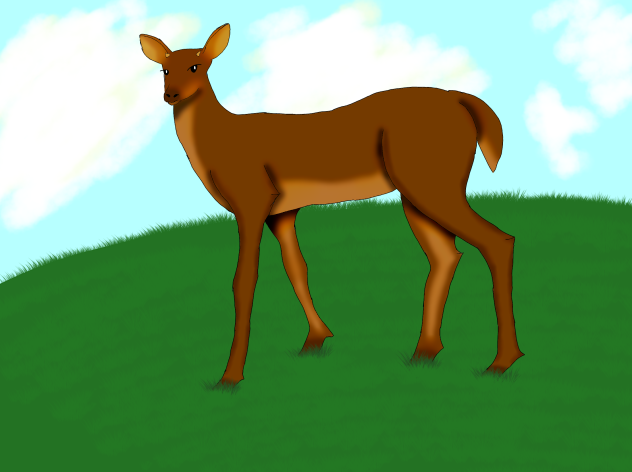 A deer - ibisPaint