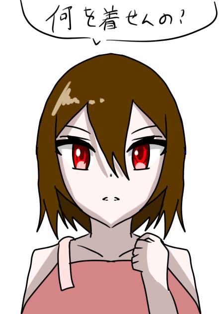 霊夢に着せたい服を教えてください！