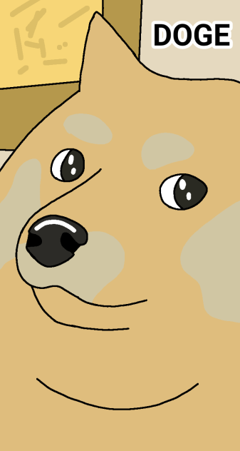 DOGE DOGE