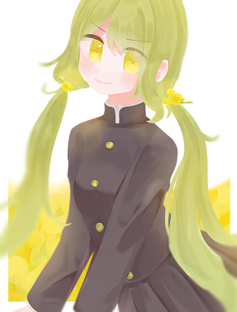 🟡菜の花🟡