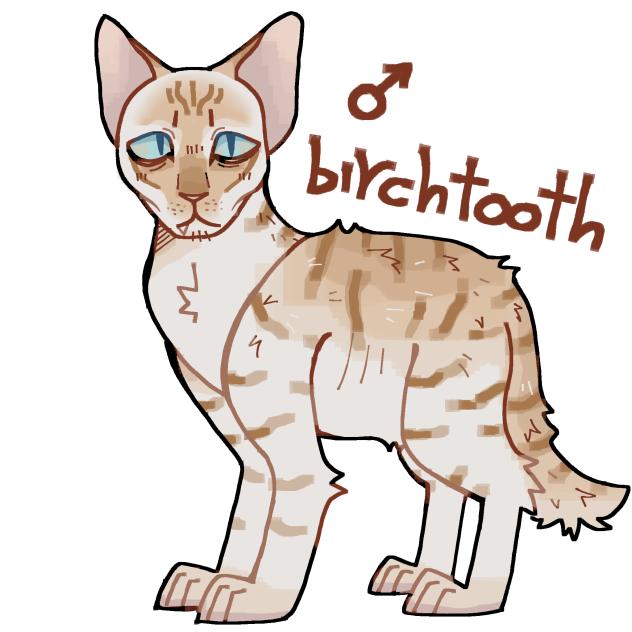 BirchTooth for sh4rk0 ^^