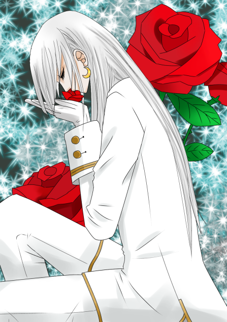 薔薇と王子 光版