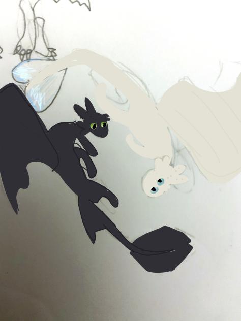Httyd fanart 🖤🤍