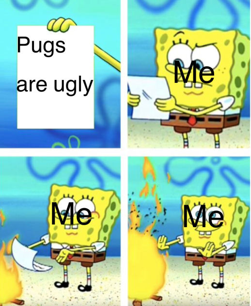 Memes #2