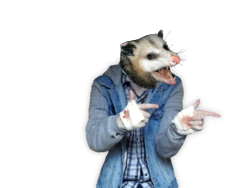 Possum Randy