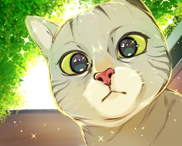 silly cat 📜🗝️