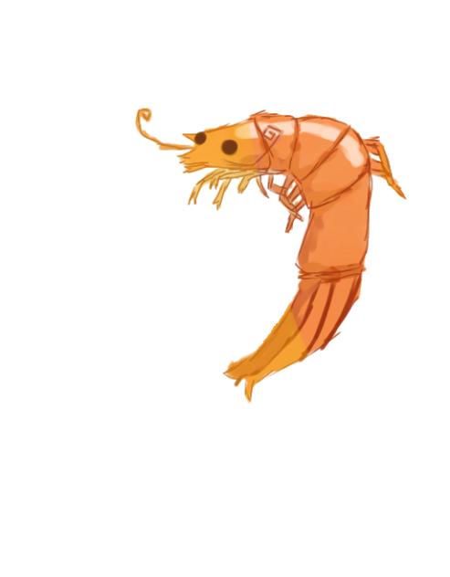 SHRIMPPPPP