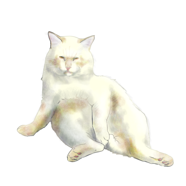 ねこ