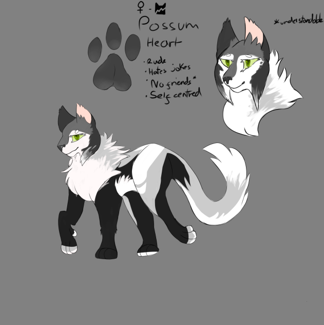 Possum’Heart Ref Sheet